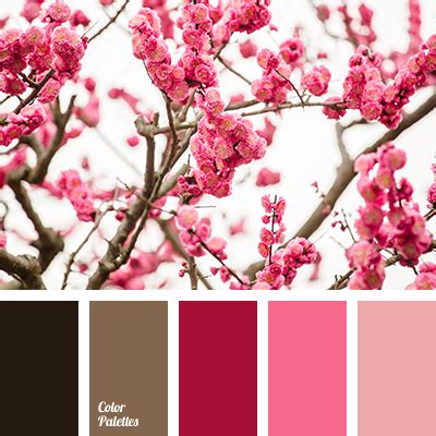 pink color | Page 11 of 18 | Color Palette Ideas