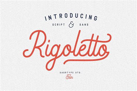 Rigoletto Monoline Script Font