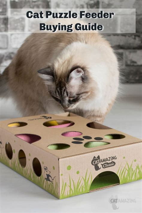 Cat Puzzle Feeder Buying Guide | Cat puzzle feeder, Cat puzzle, Cats diy projects