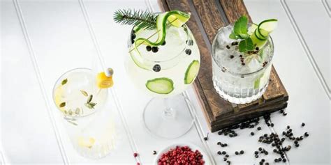 15 Best Gin Brands In The World: Gins You Have To Try (Guide)