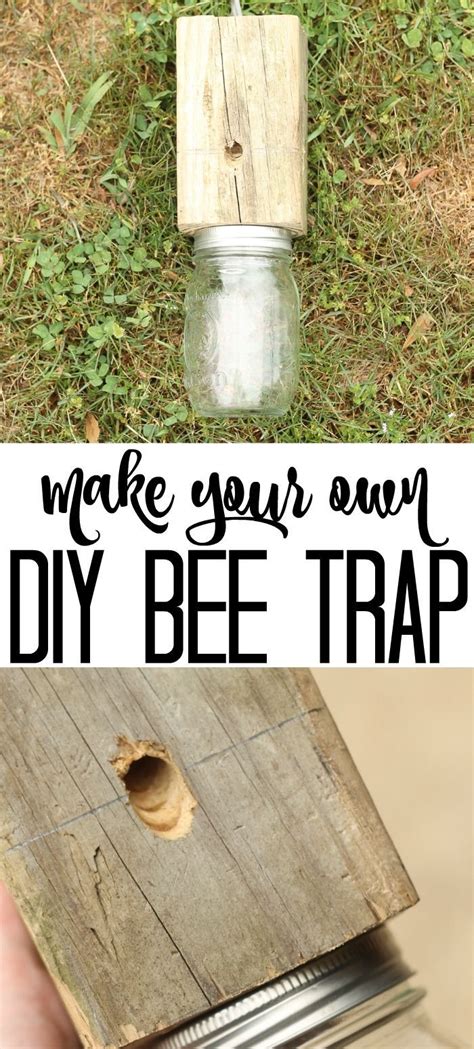 How to Make a Carpenter Bee Trap | Carpenter bee trap, Bee traps, Wood ...