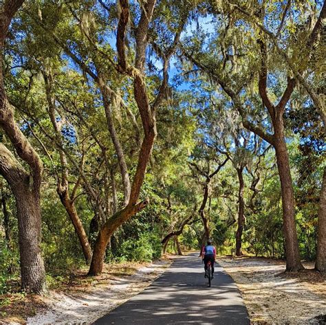 Riding through Gulf Shores State Park : r/bicycling