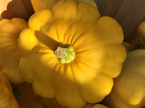 Roasted Patty Pan Squash - HeartBeet Farms