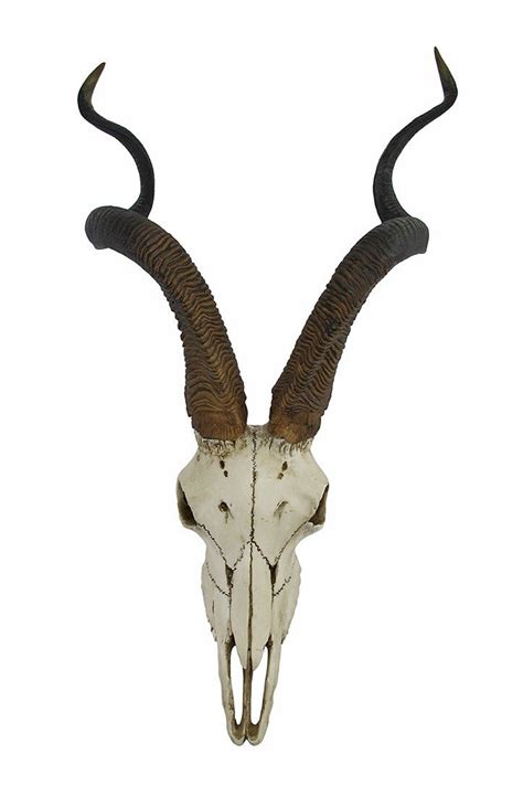 Amazon.com: Veronese Design African Kudu Antelope Skull Wall Hanging ...