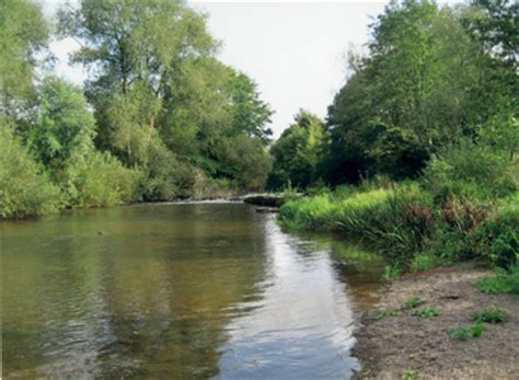 Barbel Fishing Accommodation - Barbel Fishing World Accommodation