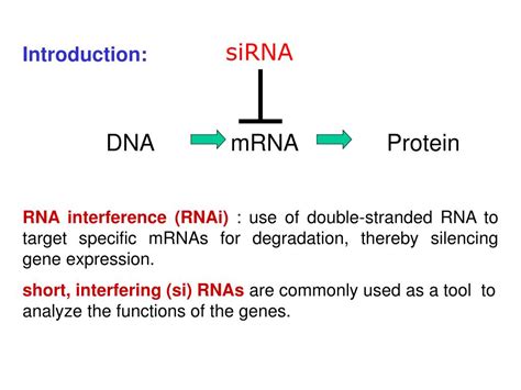 PPT - Whole-genome approach to highly specific siRNA design by CRM PowerPoint Presentation - ID ...