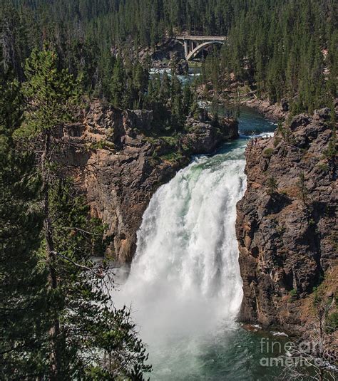 Yellowstone Upper Falls Photograph by Charles Kozierok - Fine Art America