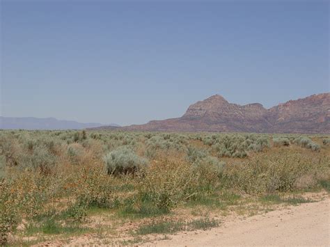 Landslippage Near Colorado City, AZ