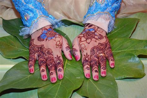 Henna stock image. Image of female, love, bridal, ornate - 174021199