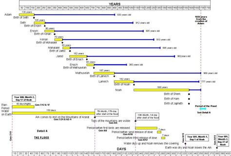 pre-flood timeline | Bible timeline, Biblical revelations, Old testament bible