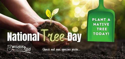 Celebrating Trees on National Tree Day | Wildlife Preservation Society ...