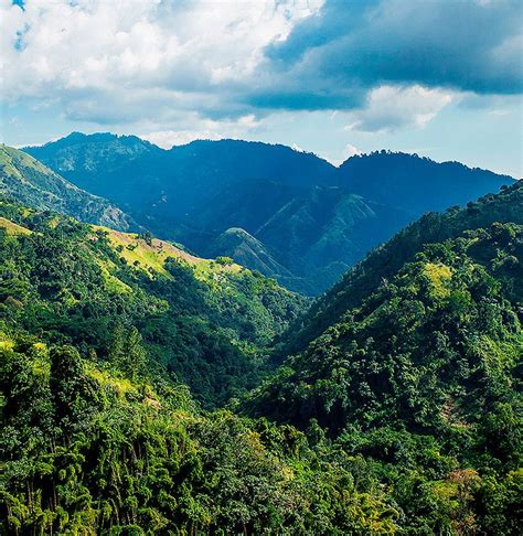 Blue Mountains Jamaica | Jamaican vacation, Moon palace jamaica, Blue ...