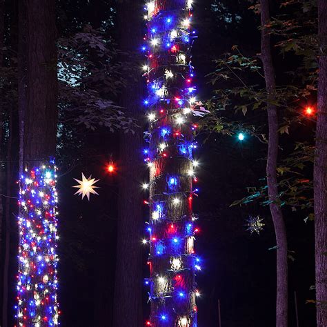 How To Decorate Outdoor Tree Branches With Lights - Outdoor Lighting Ideas