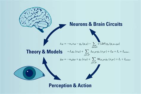 Human Psychophysics Lab