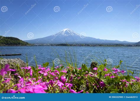 Lake Kawaguchi in Japan stock image. Image of capped - 206532985