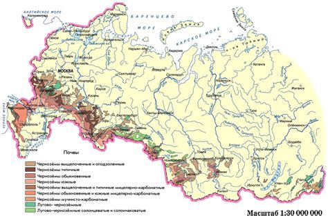 Чернозёмные почвы - главный ресурс России и родина истинных арийцев. | Евгений Вечеринкин | Дзен