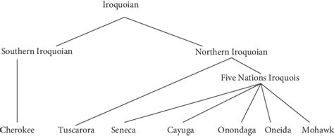 Genetic relationships among the modern Iroquoian languages | Download Scientific Diagram