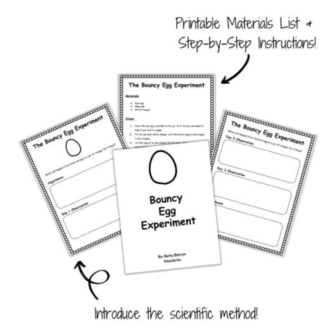 Bouncy Egg Experiment: Cool Science Experiment for Kids | Mombrite