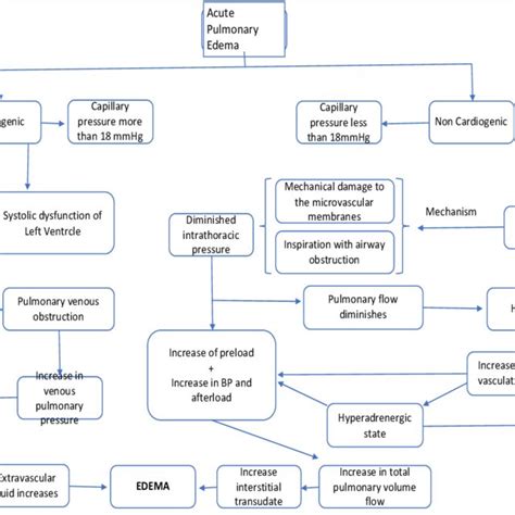 Pulmonary Edema Concept Map | Images and Photos finder