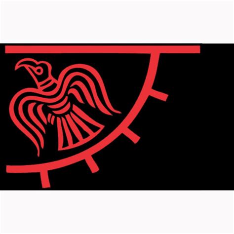 5' x 3' Viking Raven Flag | Norse / Nordic Ragnar Flags – Sons of Vikings