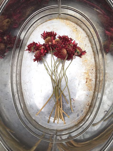 End Of Summer Bouquet, Flowers in reflection, San Cristobal