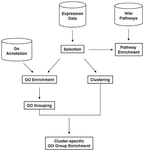 Pre-processed Affymetrix data analysis pipeline. A selection method was ...