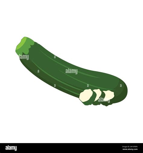 Zucchini Flat design clip art vector illustration isolated on a white background Stock Vector ...