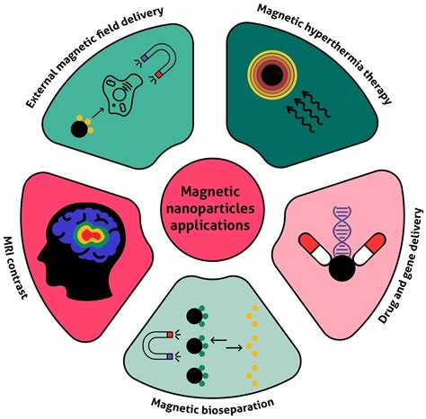 Encyclopedia | Free Full-Text | Magnetite Nanoparticles for Biomedical ...