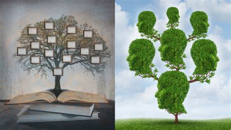 A Beginner's Guide to Family Tree Research - Progeny Genealogy Inc.