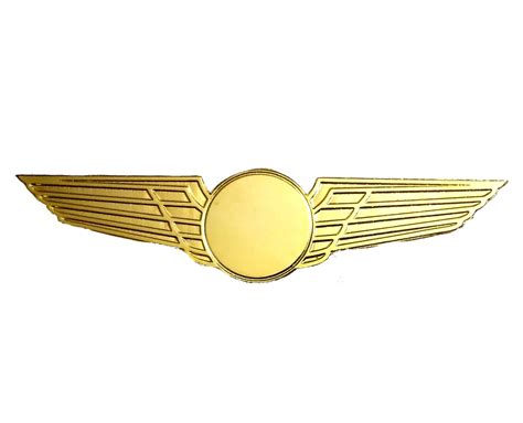 Pilot Wings Logo