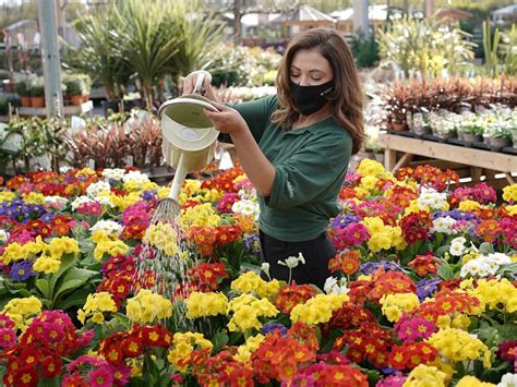 Dobbies reopens stores across Scotland | News | What's On Lanarkshire