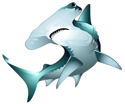 Hammerhead vector | Shark painting, Shark art, Shark drawing