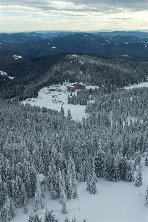 Winter Landscape of Rhodope Mountains Near Pamporovo Resort from ...