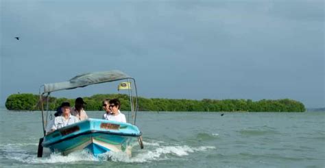 Negombo Lagoon, Western Province, Sri Lanka - Book Tickets & Tours ...