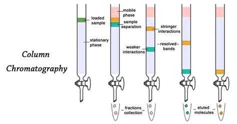 [바이오-제약회사] Chromatography 정의, 용어, 원리, 종류, 실제 실험 방법 등에 대한 공부 : 네이버 블로그