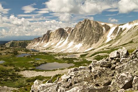 Medicine Bow National Forest