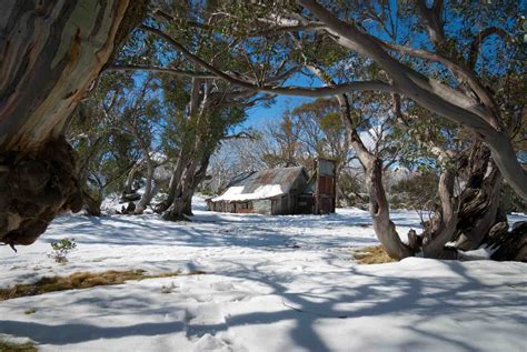 Snowfall In Australia : "Most Snow in 17 Years" in Australia - The ...