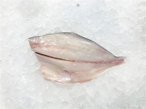 Pompano – Wild Ocean Direct