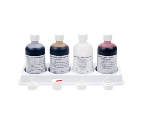 Gram Stain Kit Manufacturer, Supplier Exporter In India,, 60% OFF