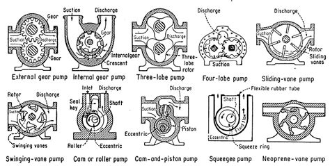 Positive Displacement Pumps: The Most Common Types - DAE Pumps