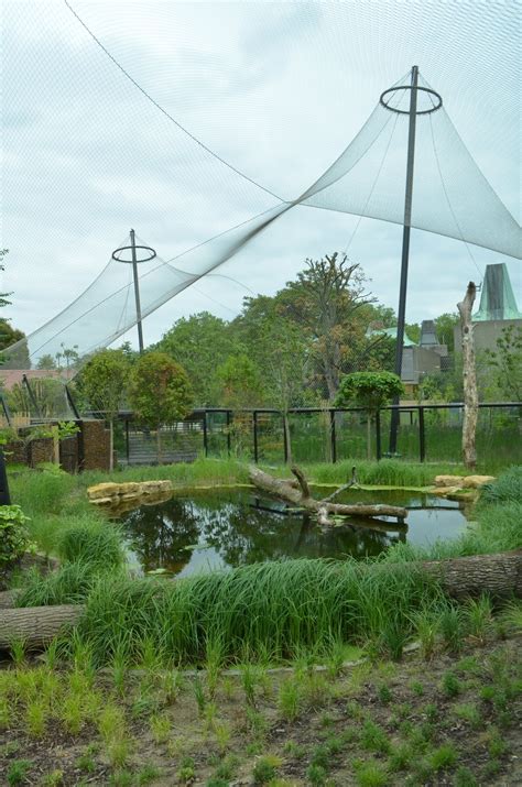 London Zoo Tiger Enclosure - Base Structures