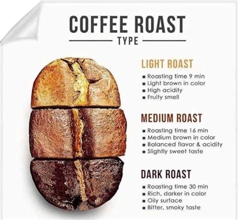 Coffee roasting types — Light, Medium and Dark roasting comparison from ...