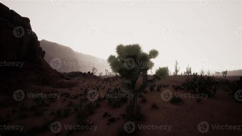 Sunset in the desert, Sunset in the desert in Dubai UAE 17278498 Stock Photo at Vecteezy