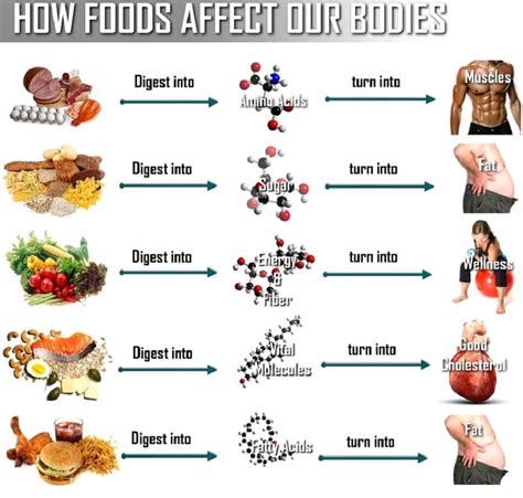 Healthy Food Vs Junk Food | Wrytin