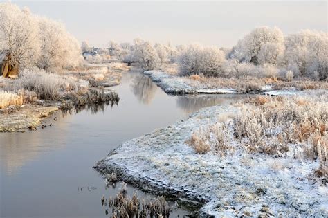 Seasons Winter Lithuania Snow Nature | Winter, Winter, Winter ...