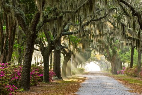 Top 10 Things to Do in Savannah, Georgia