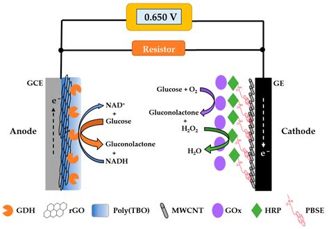 Biosensors | Free Full-Text | Development of a Sensitive Self-Powered ...