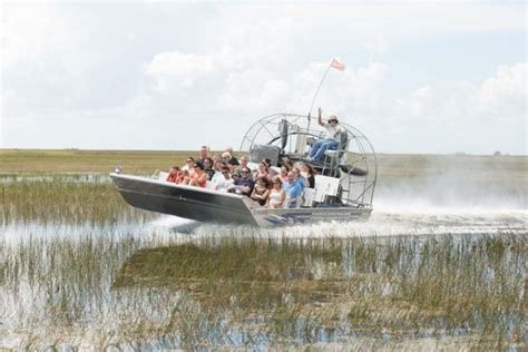 Florida Everglades Airboat Adventure And Wildlife Encounter Ticket: Triphobo