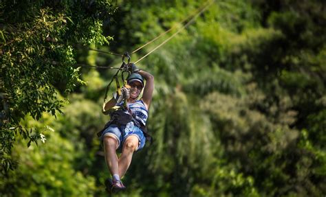 Combo Jungle Cruise & Jungle Canopy Zipline Tour from Limon, Costa Rica