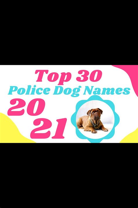 Best Police Dog Names ! Most Popular Male And Female Dog Names With Meaning 2021 in 2021 | Dog ...